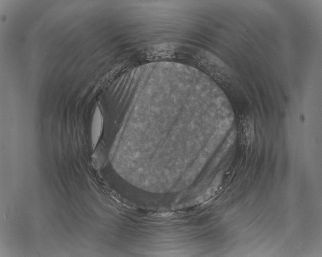 X0000067460224200605051630