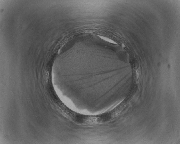 X0000067460227200605051630