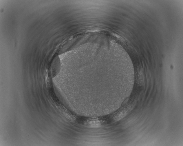 X0000067460228200605051630