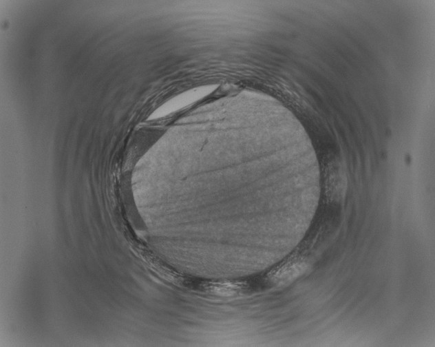 X0000067460229200605051630