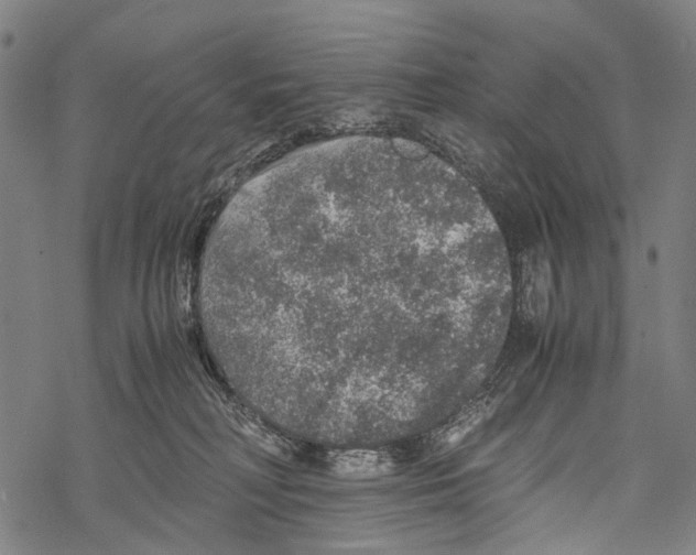 X0000067460230200605051630