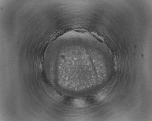 X0000067460232200605051630