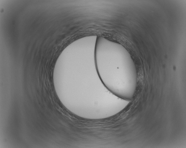 X0000067460233200605051630