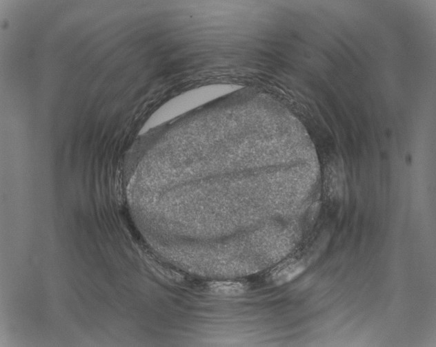 X0000067460234200605051630