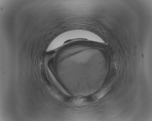 X0000067460235200605051630