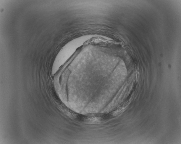 X0000067460237200605051630