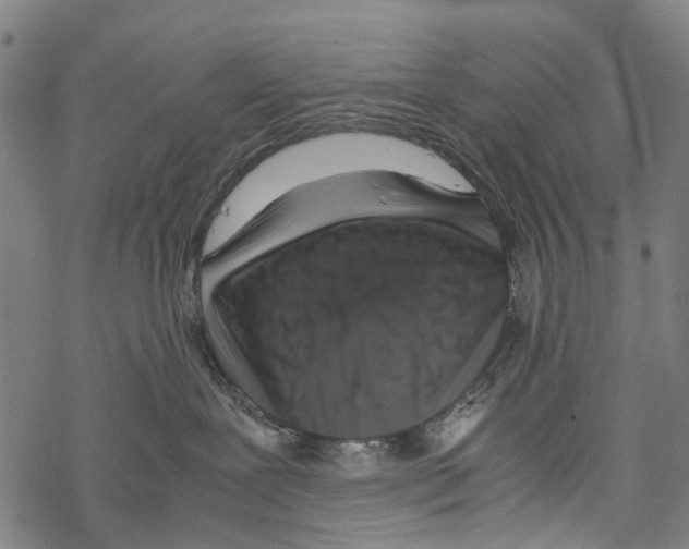 X0000067460239200605051629