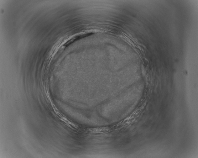 X0000067460241200605051629