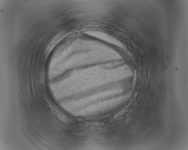 X0000067460242200605051629