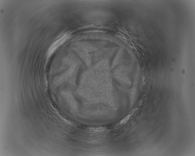 X0000067460245200605051629