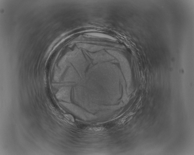 X0000067460247200605051629