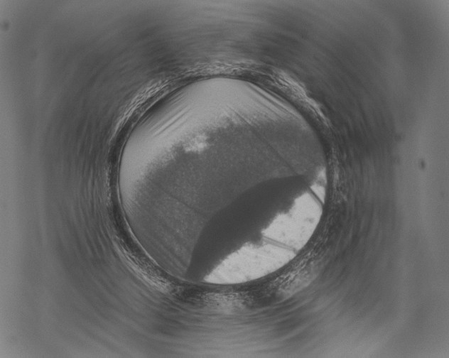 X0000067460250200605051629