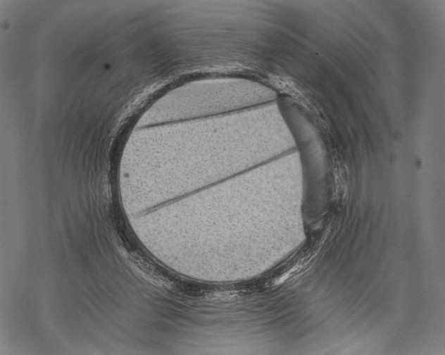 X0000067460252200605051629