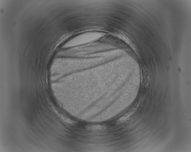 X0000067460253200605051629