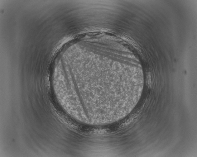 X0000067460256200605051629