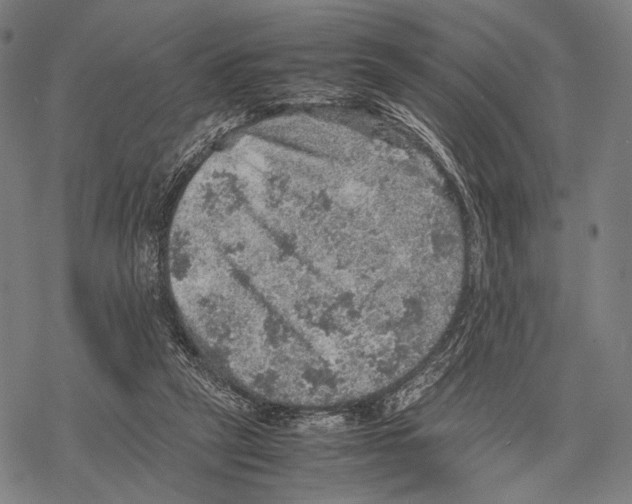 X0000067460257200605051629