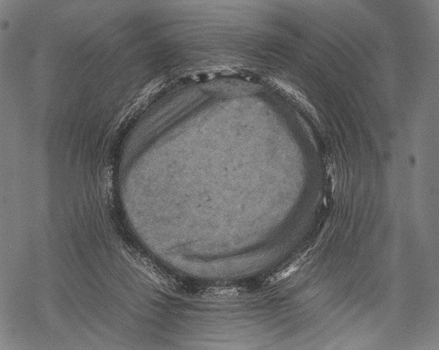 X0000067460260200605051629