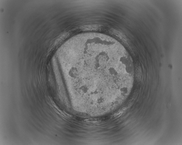 X0000067460261200605051629