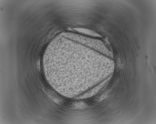 X0000067460262200605051629