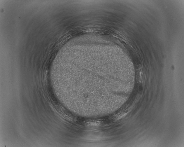 X0000067460263200605051629