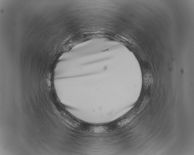 X0000067460264200605051629