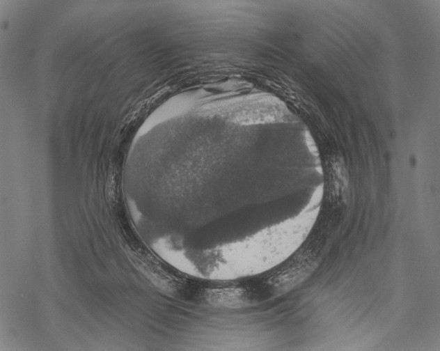 X0000067460266200605051629