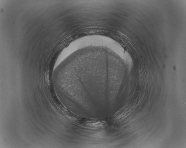 X0000067460267200605051629