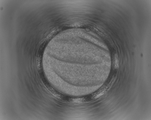 X0000067460268200605051629