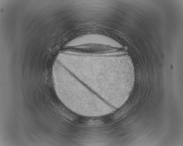 X0000067460270200605051629