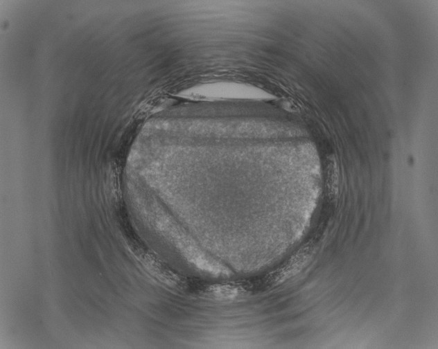 X0000067460272200605051629