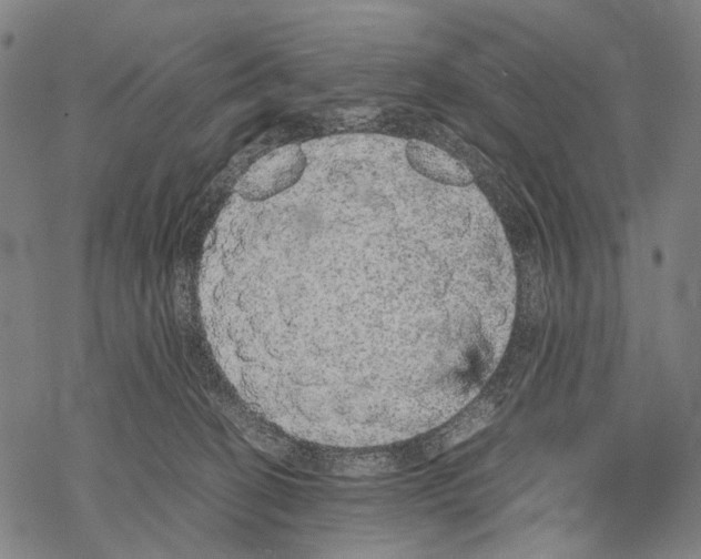 X0000067460274200605051629