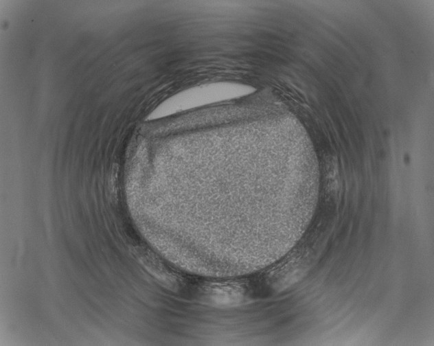 X0000067460275200605051629