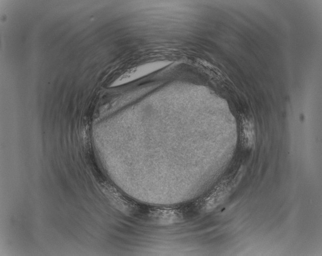 X0000067460276200605051629