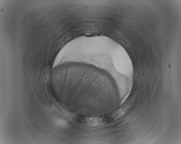 X0000067460277200605051629