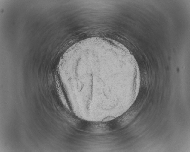 X0000067460278200605051629