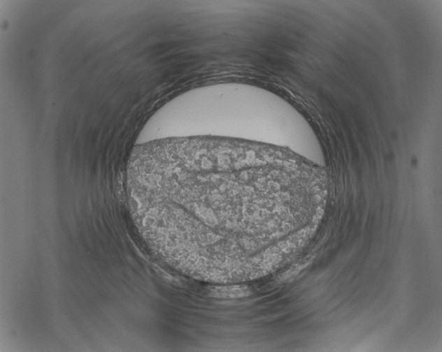 X0000067460281200605051629