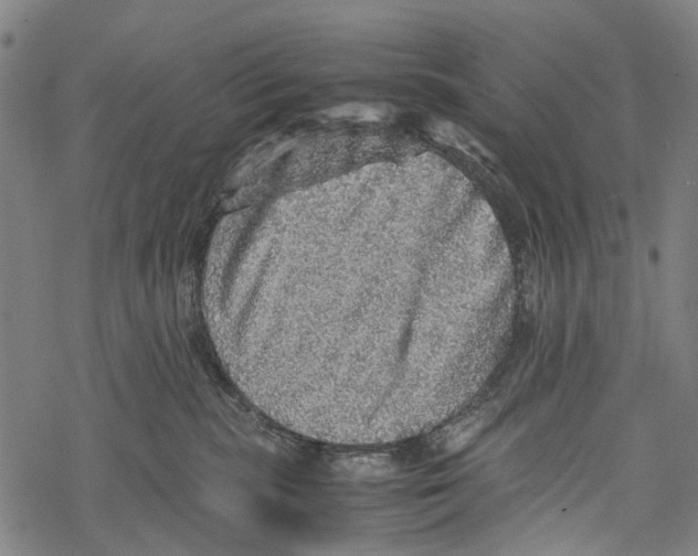 X0000067460283200605051629