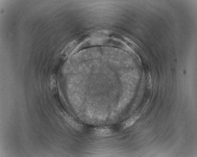 X0000067460284200605051629