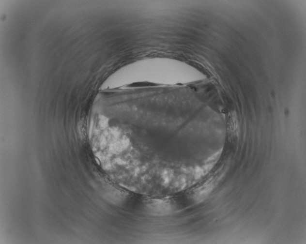 X0000067460285200605051629