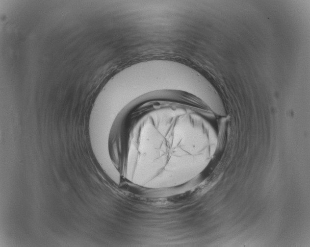 X0000067460288200605051629