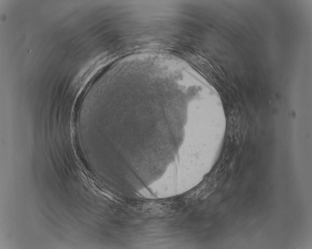 X0000067460290200605051629