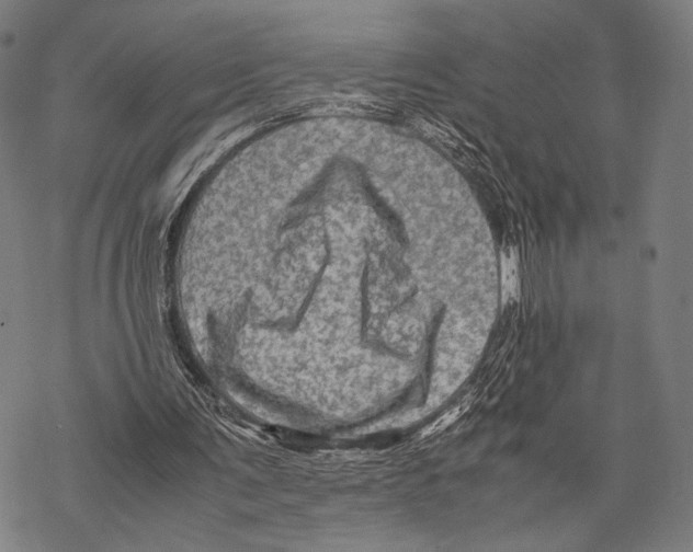 X0000067460291200605051629