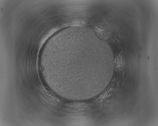 X0000067460292200605051629