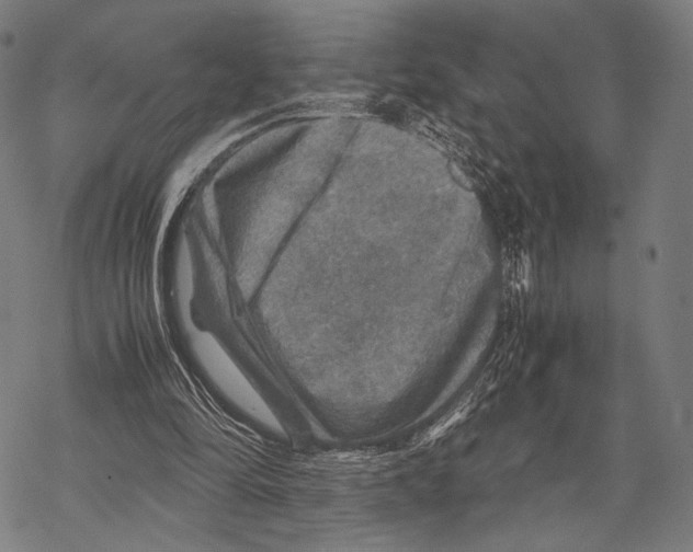 X0000067460294200605051629