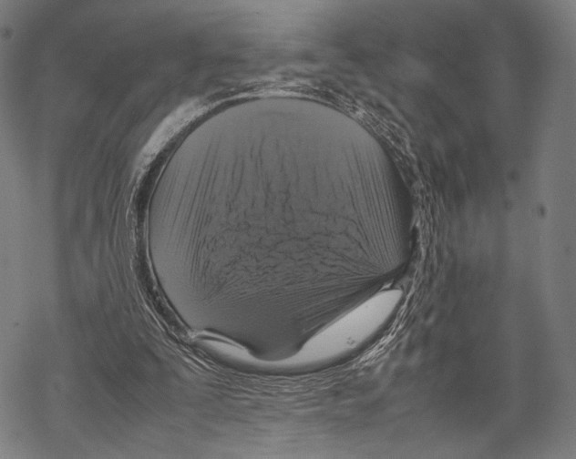 X0000067460295200605051629