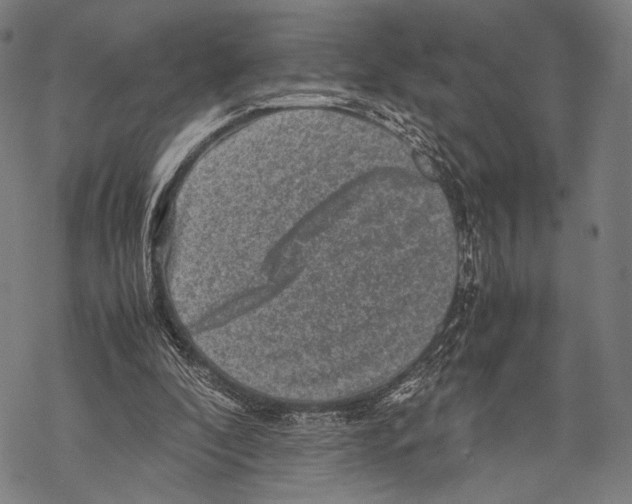 X0000067460296200605051629