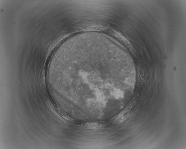 X0000067460298200605051629