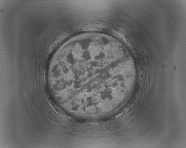 X0000067460299200605051629