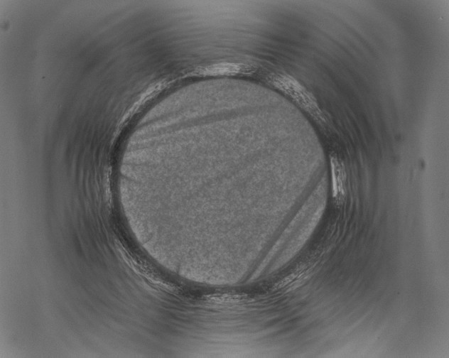 X0000067460300200605051628