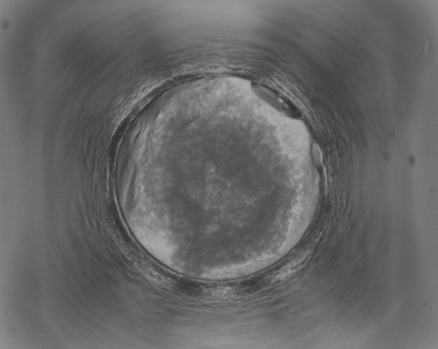 X0000067460301200605051628